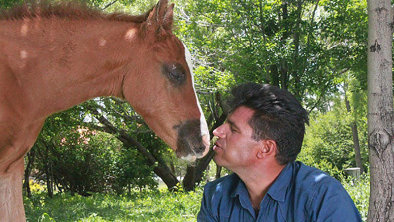 مستند «من خودم اسبم»، تصویری از رابطه عاطفی انسان و اسب