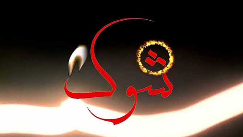 بررسی پرونده «چوپان دروغگو» در برنامه امشب «شوک»