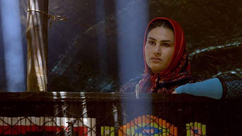 روایت زندگی دختر قهرمان عشایری در مستند «سوسن در سحر می شکفد»