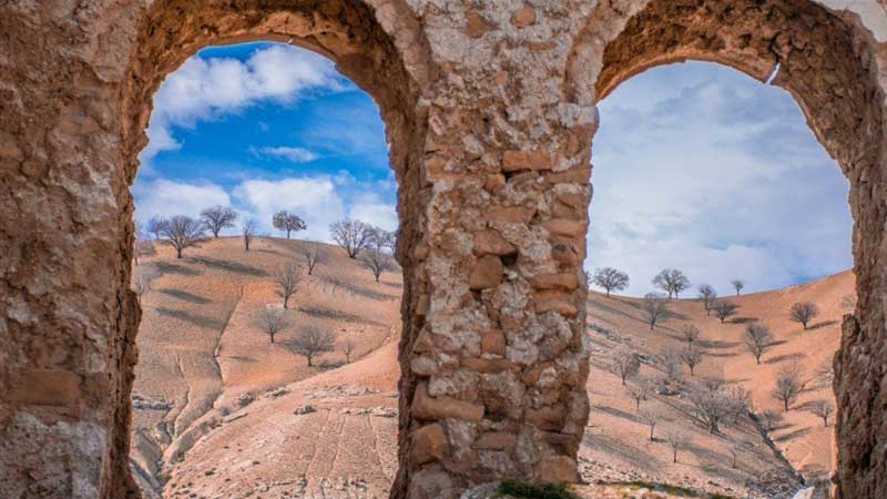 طبیعت بکر جنوب ایران در قاب مستند «سرزمین مهربان»