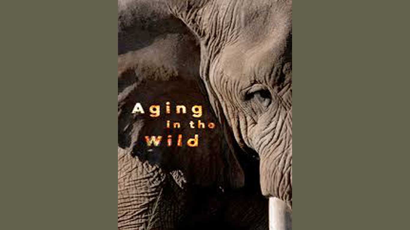 مستند «پیر شدن در حیات وحش» در برنامه چهارسوی علم